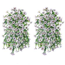 INSPRING daisy trailing vines along a garden path for natural decor