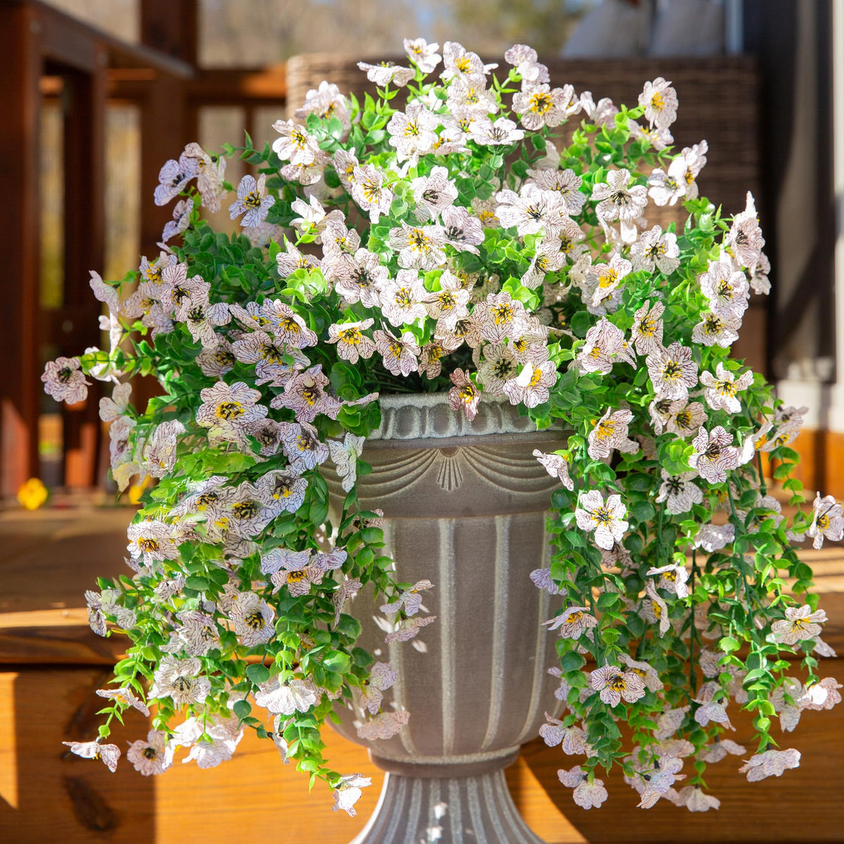 INSPRING daisy trailing vines in a window box for lush color