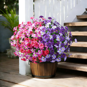 Porch display using INSPRING outdoor silk blooms with eucalyptus