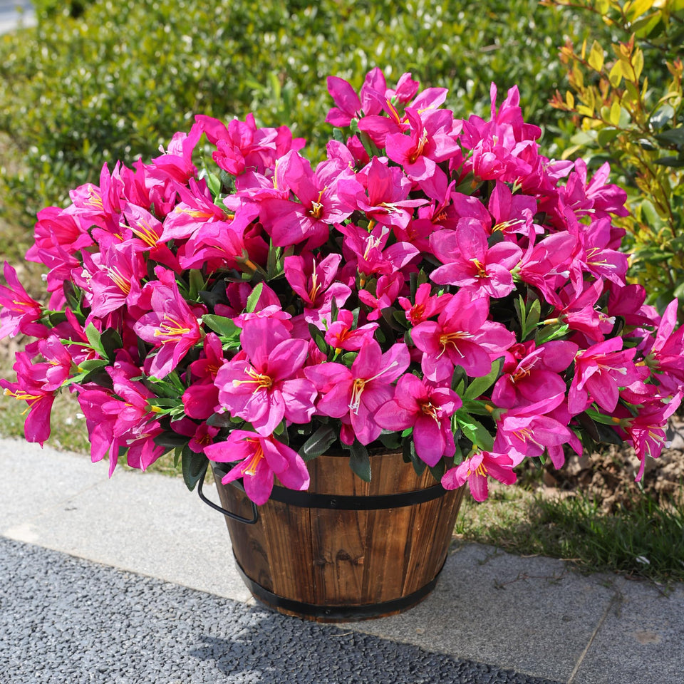 INSPRING azalea outdoor 3-bundle display with lifelike, vivid blooms for planters