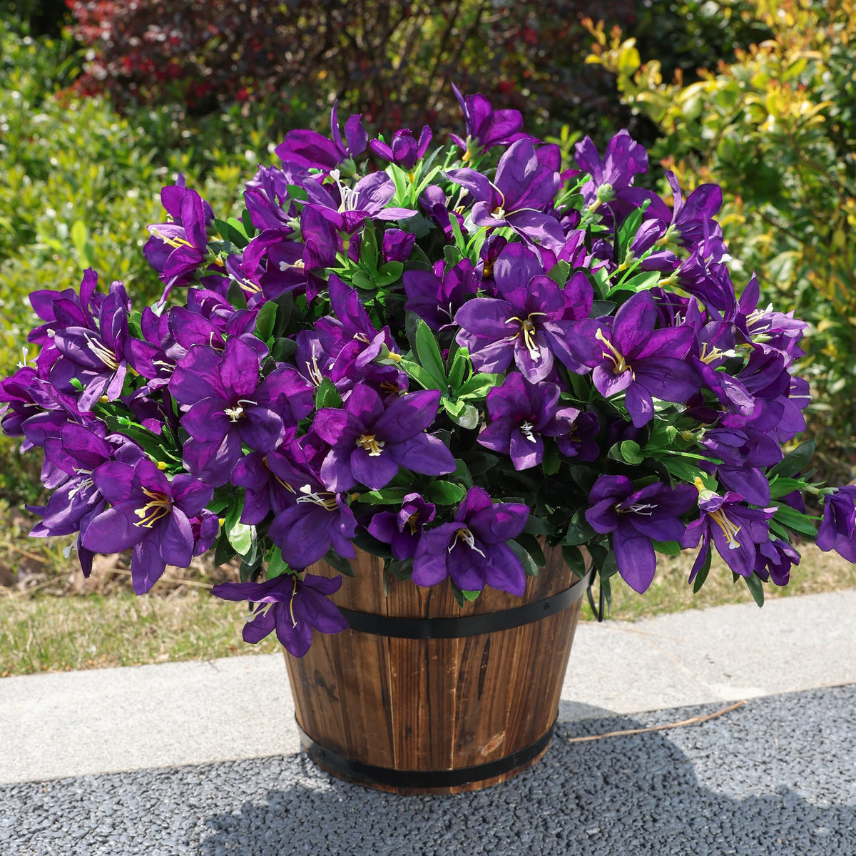 INSPRING azalea outdoor bundle dark purple in full bloom for vivid garden display.