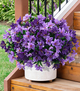 INSPRING azalea outdoor three-bundle display adds natural color