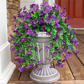 INSPRING balcony patio porch daisies decoration to elevate curb appeal.