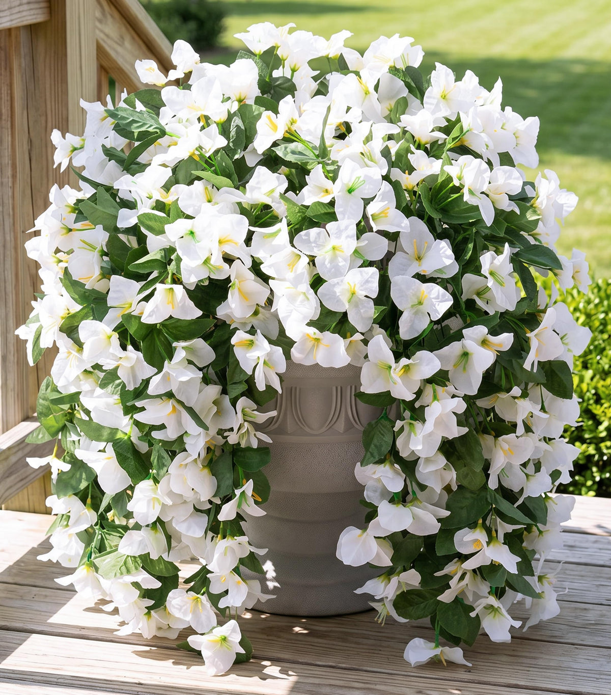 INSPRING Bougainvillea trailing vines decorate a front door with year-round color.