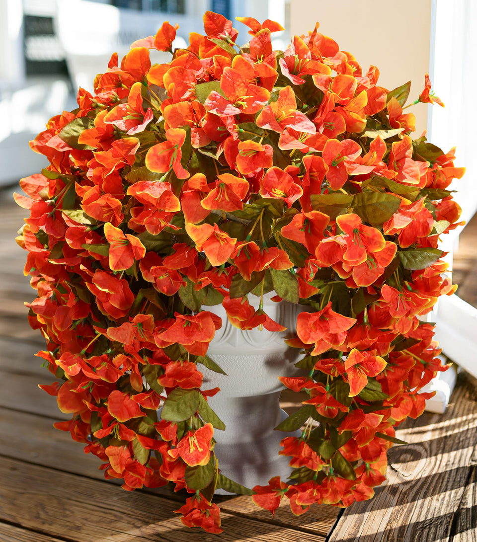 INSPRING bougainvillea trailing vines for outdoor use add long-lasting color.
