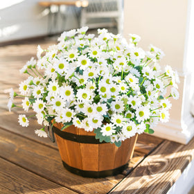 INSPRING daisy closeup white petals highlighting delicate texture for realistic faux bloom.