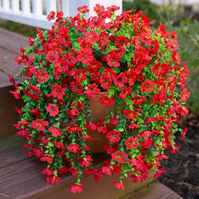 INSPRING daisy-eucalyptus two-pack assembled for versatile outdoor display.