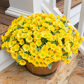 INSPRING daisies with realistic leaves for natural-looking decor