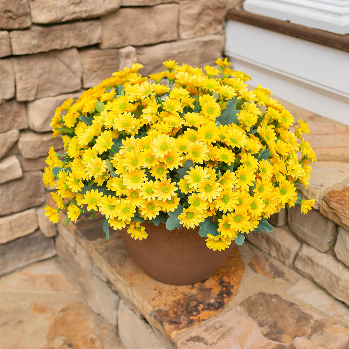 INSPRING outdoor daisies suit porches walkways and windowsills