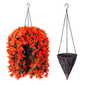 INSPRING decorative bougainvillea vines frame windows and doors beautifully.