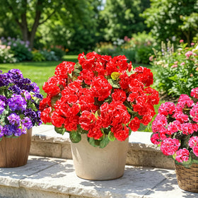 INSPRING allergy-friendly faux geraniums suitable for homes