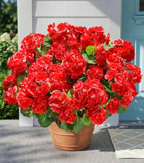 INSPRING outdoor six-bundle fake geraniums for lasting curb appeal