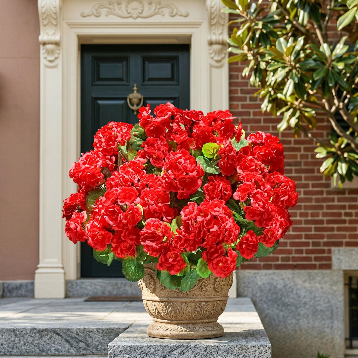INSPRING all-weather geraniums enduring sun and rain