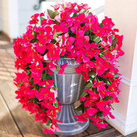 INSPRING bougainvillea trailing vine in hot pink adds porch-ready color without maintenance