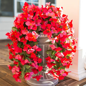 INSPRING UV-resistant bougainvillea trailing vines brighten outdoor patio spaces.