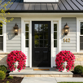 INSPRING bougainvillea decor for urns, planters, and balconies