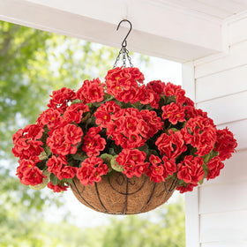 INSPRING Geraniums hanging basket front view showing bright red blooms