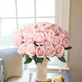 INSPRING gift roses for her, timeless sentiment without wilting.