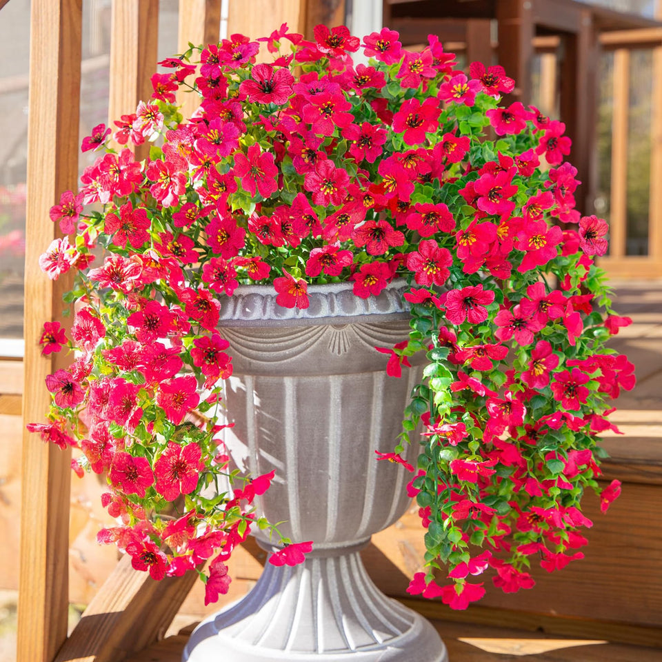 INSPRING hotpink daisy trailing vines add year-round curb appeal to outdoor spaces