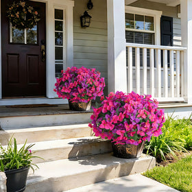 INSPRING outdoor bougainvillea flowers in foreground with natural look.