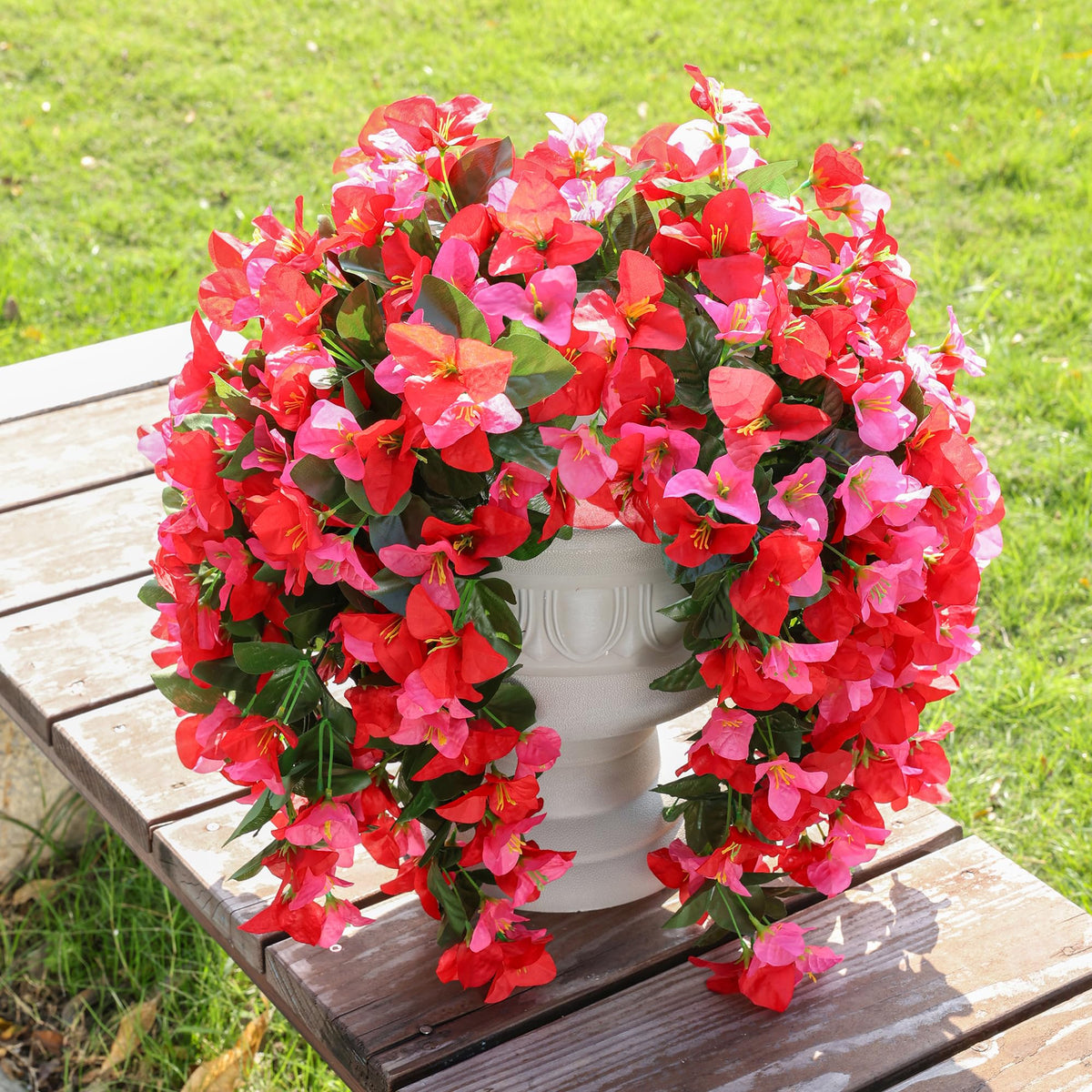 INSPRING low-maintenance outdoor bougainvillea vines require no watering.