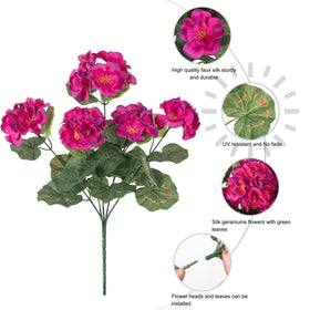 INSPRING outdoor geraniums require no watering or pruning