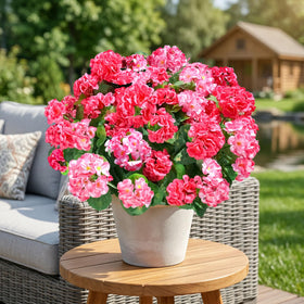 INSPRING outdoor geraniums create all-season decorations for porches and window boxes.