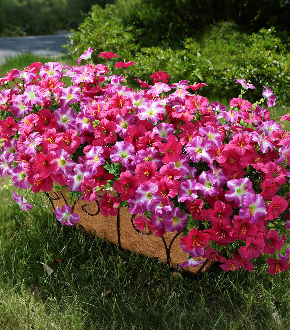 INSPRING petunia with eucalyptus outdoor bundle in a planter boosts curb appeal