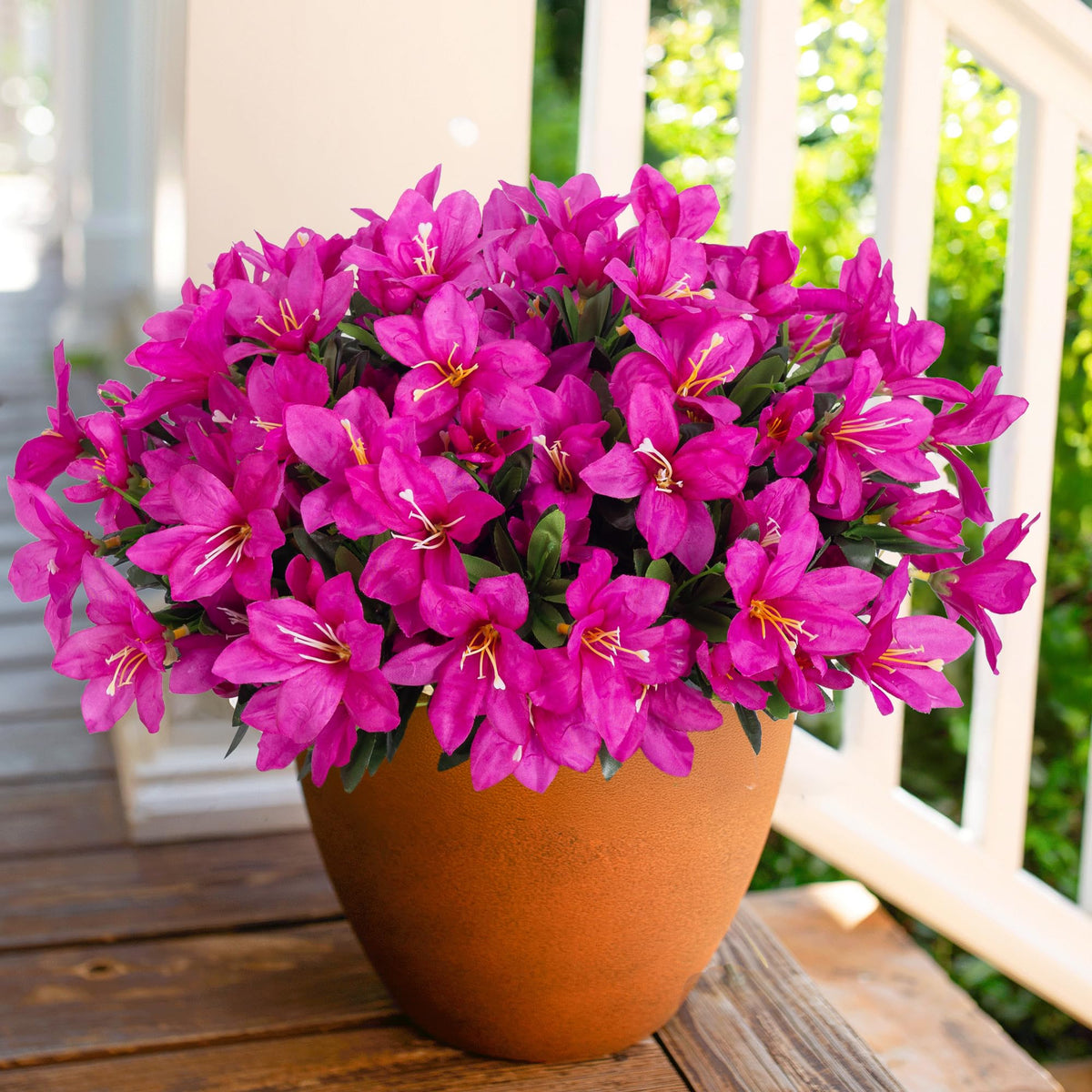 INSPRING porch azalea walkways scene stays vibrant through all seasons