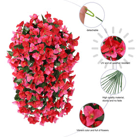 INSPRING bougainvillea vines for yard enhance entryways with greenery.