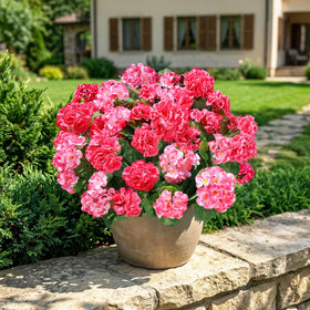 INSPRING silk geraniums in outdoor bouquet style for planters and entrance decor.