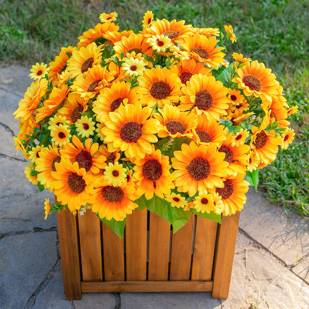 INSPRING sunflowers vivid bloom enhances backyard curb appeal and year-round color.