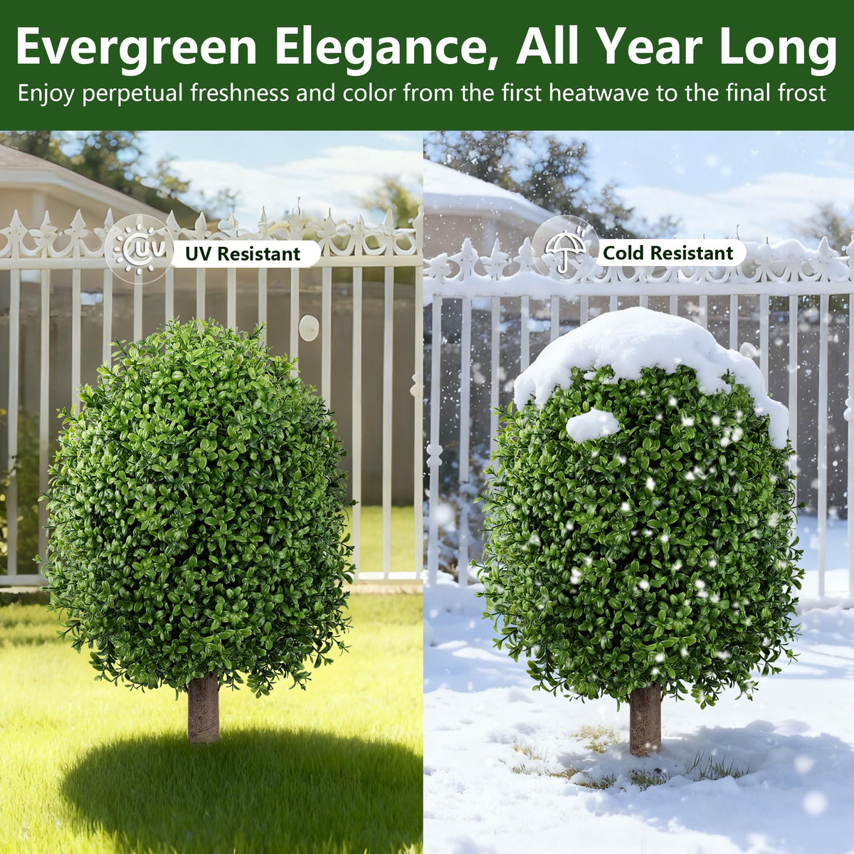 INSPRING topiary flanks a doorway for easy maintenance-free curb appeal