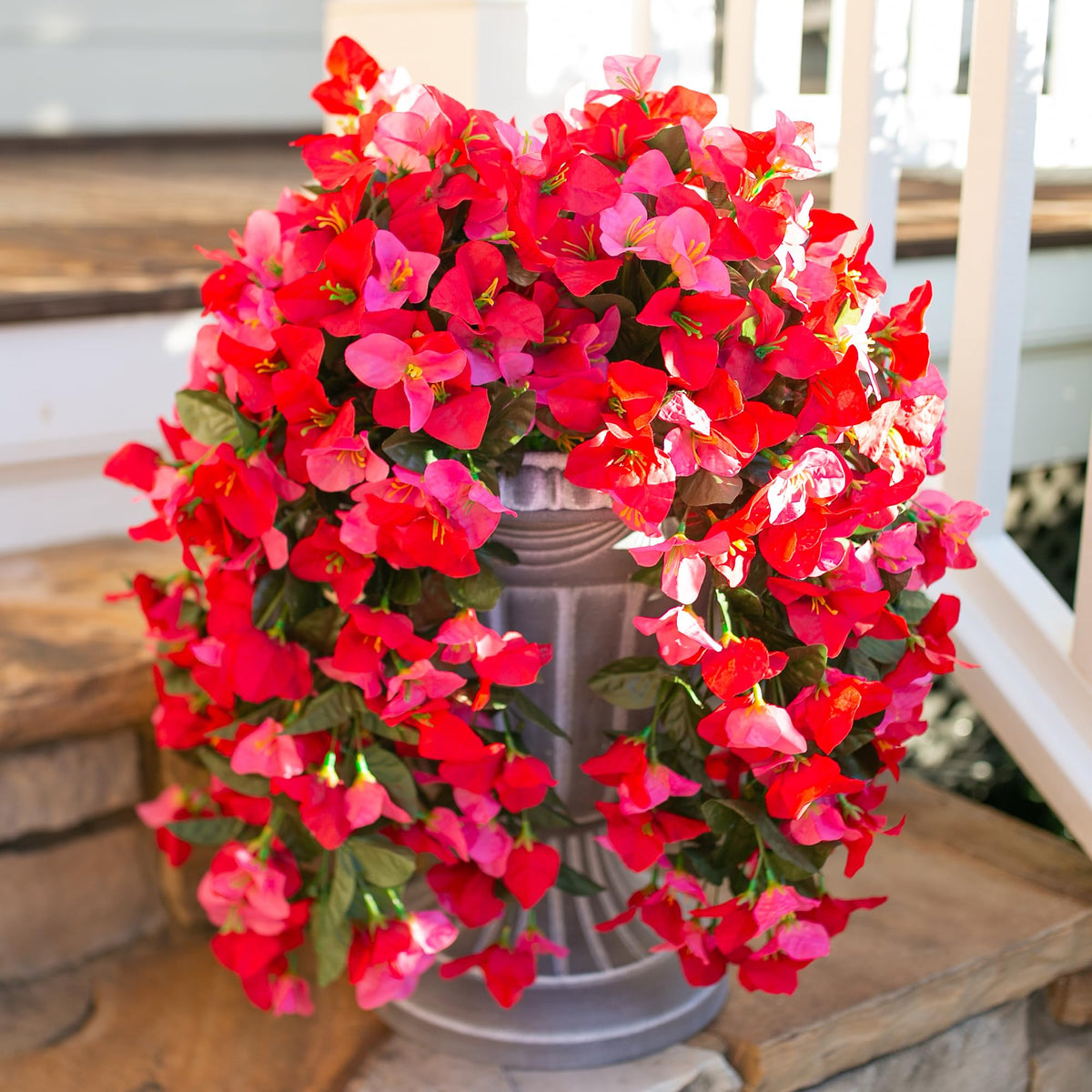INSPRING two-pack bougainvillea vines deliver instant greenery year-round.