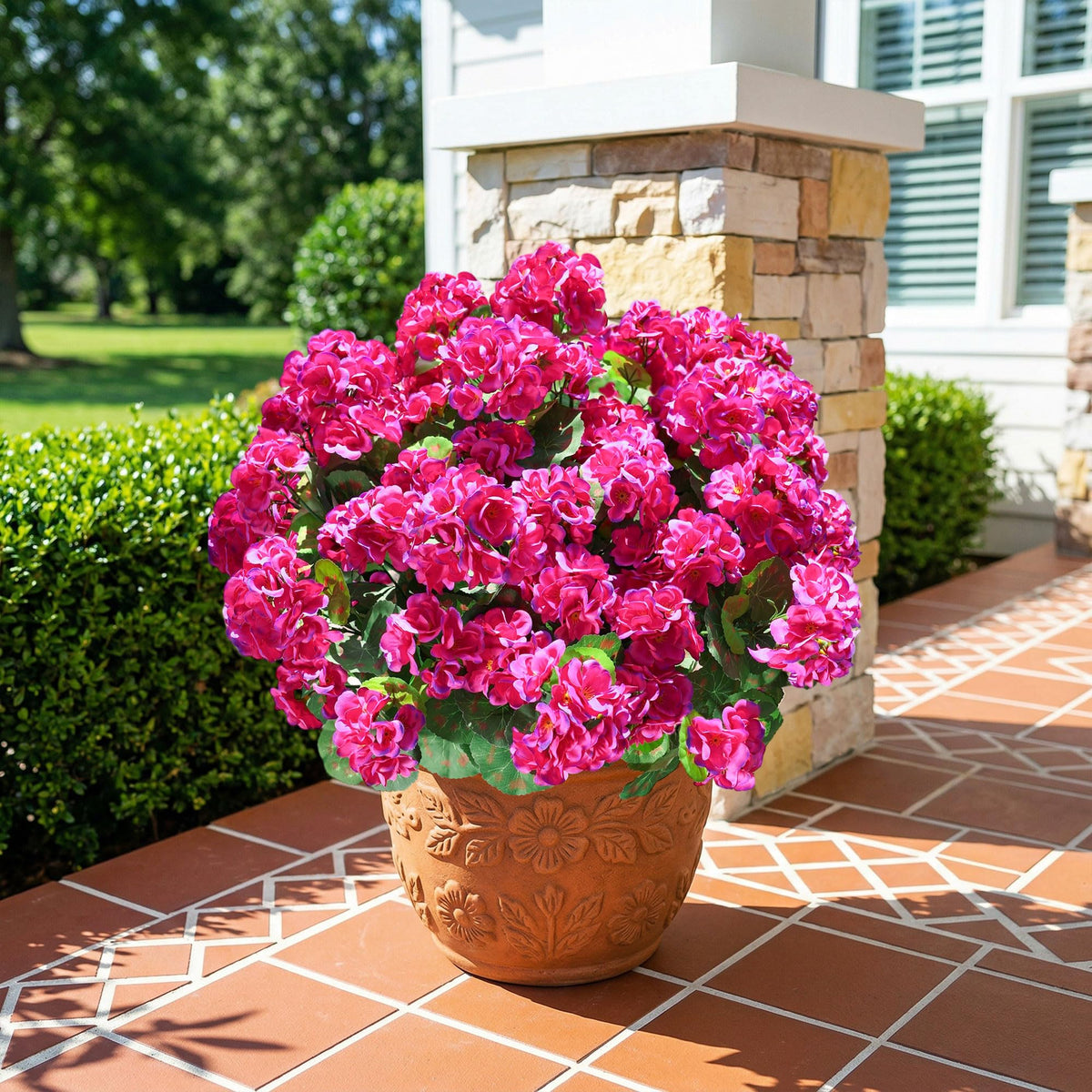 INSPRING UV-resistant geraniums withstand sun and rain for long-lasting color