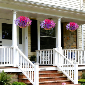 INSPRING UV-resistant outdoor flowers maintain color under sun.