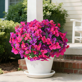 INSPRING UV-resistant silk material detail preserves color in any weather.
