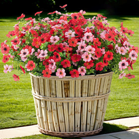 INXUGAO artificial daisy bundles for outdoor decor brighten porches with year-round color.