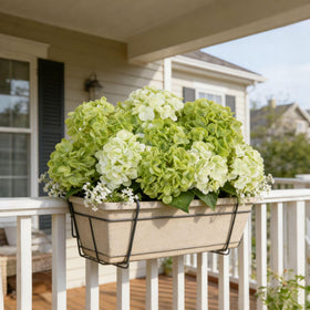 INXUGAO 18in green hydrangea bloom brings garden charm to displays.