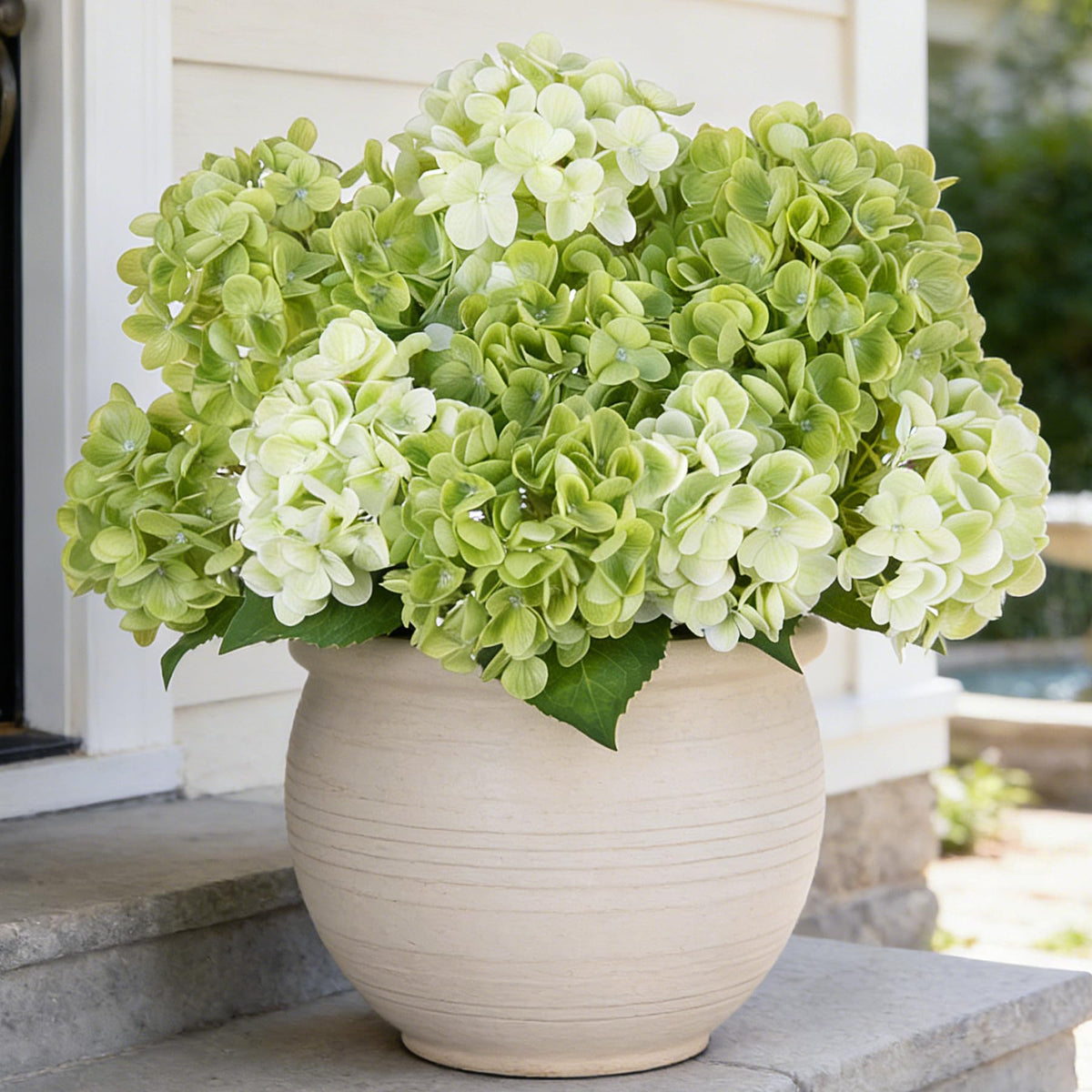INXUGAO 18in white hydrangea bloom with realistic latex petals for elegant outdoor decor.