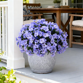 INXUGAO indoor-outdoor hydrangea for wedding venue decor.