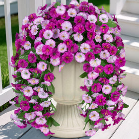 INXUGAO morning glory hanging flowers outdoor setup showing year round color
