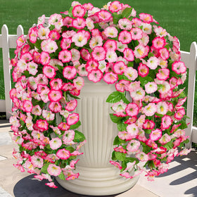 INXUGAO morning glory hanging flowers brighten outdoor porches with color.
