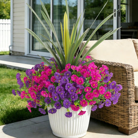 INXUGAO purple morning glory bundle adds year-round color to outdoor spaces with low maintenance.