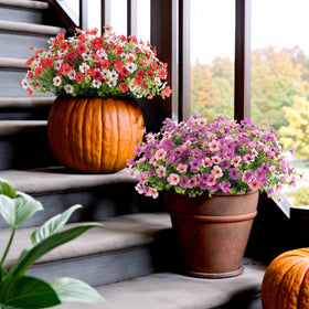 INXUGAO versatile decor for porch, garden, or sunroom year-round.