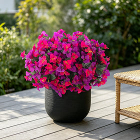 INXUGAO porch décor bougainvillea highlights vivid hues at entryways
