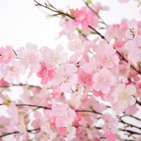 INXUGAO silk cherry blossoms closeup showing lifelike petals.
