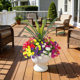 INXUGAO six-color morning glory set for sunlit entryways.