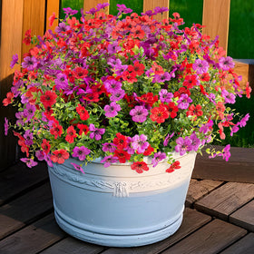 INXUGAO UV-resistant daisy bundles stay bright in sun.