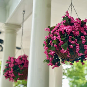 INXUGAO uv-resistant flowers stay vibrant in sun with minimal maintenance.